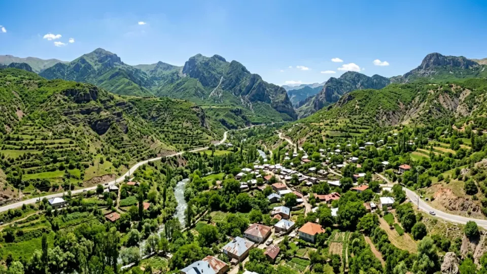 Bugün Pülümür (temsili)