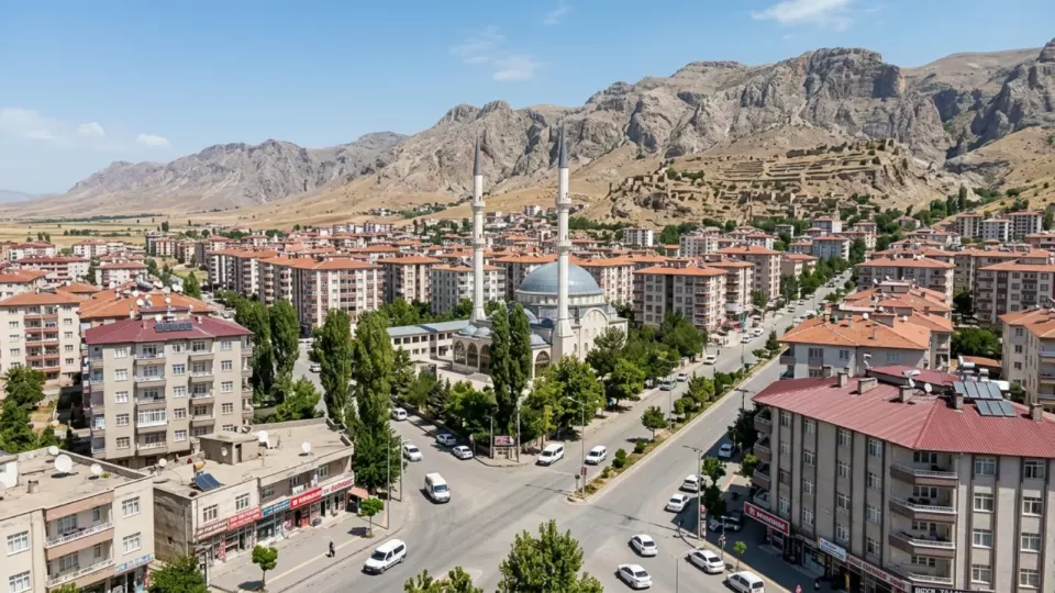Bugünkü Lice (temsili)