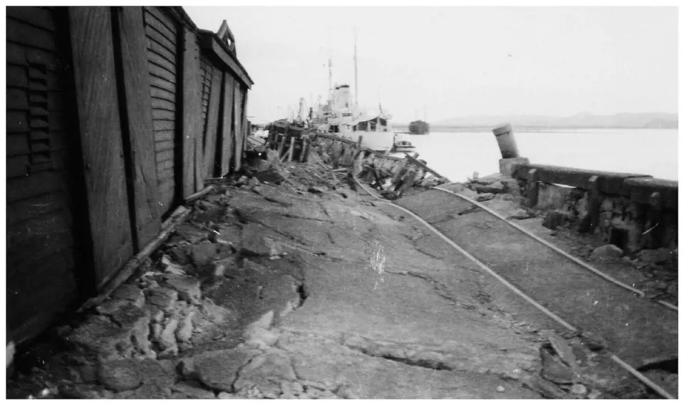 HMS Veronica limanda