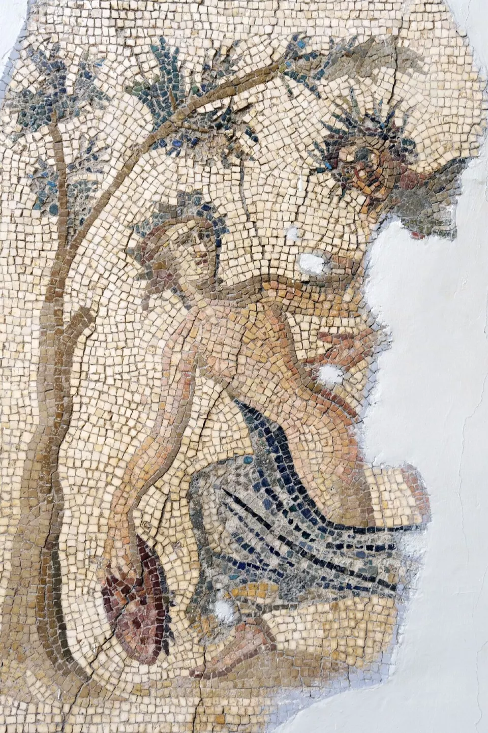 Apollon ve Daphne mozaiği