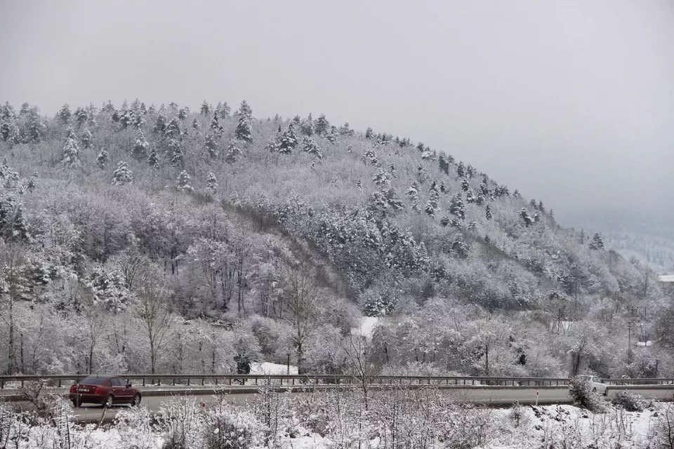 Kar altında Bolu Dağı