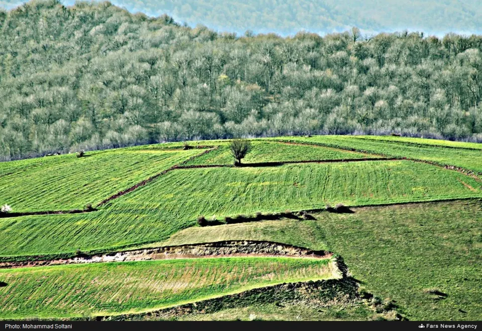 Çehardange'nin ormanlık yamaçları