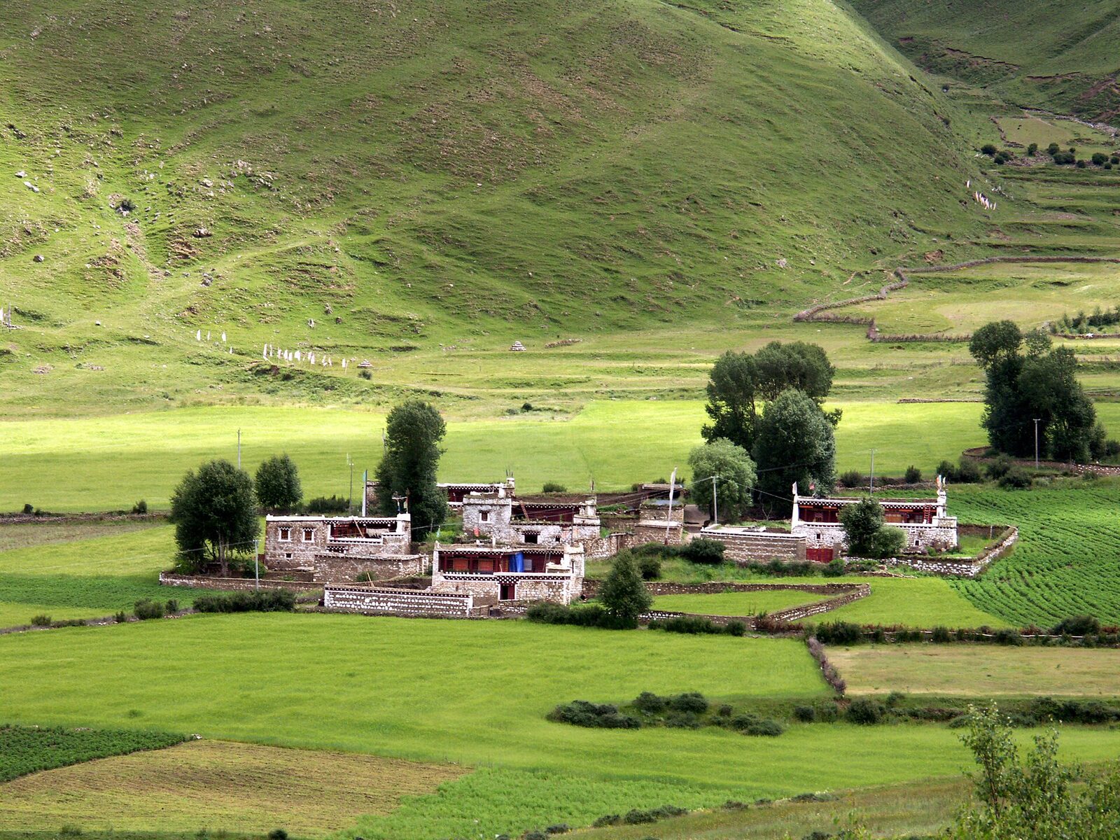 Dawu'da geleneksel Tibet evi
