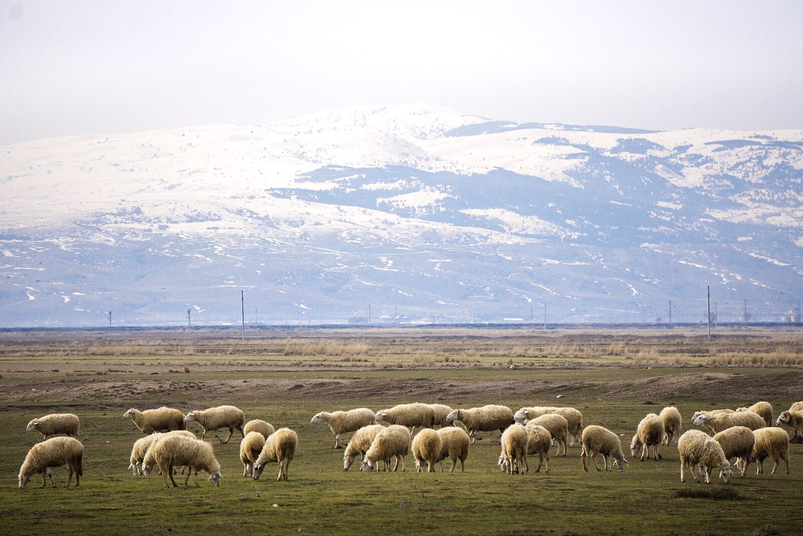Eber Gölü kıyısı
