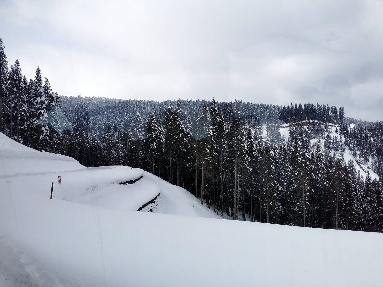 Ilgaz Dağı ormanları