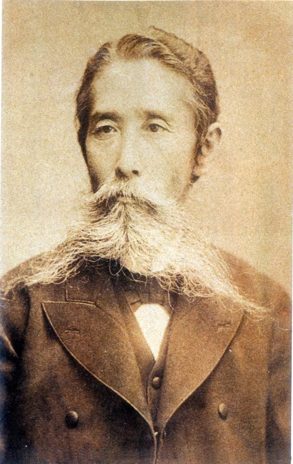 Itagaki Taisuke portresi