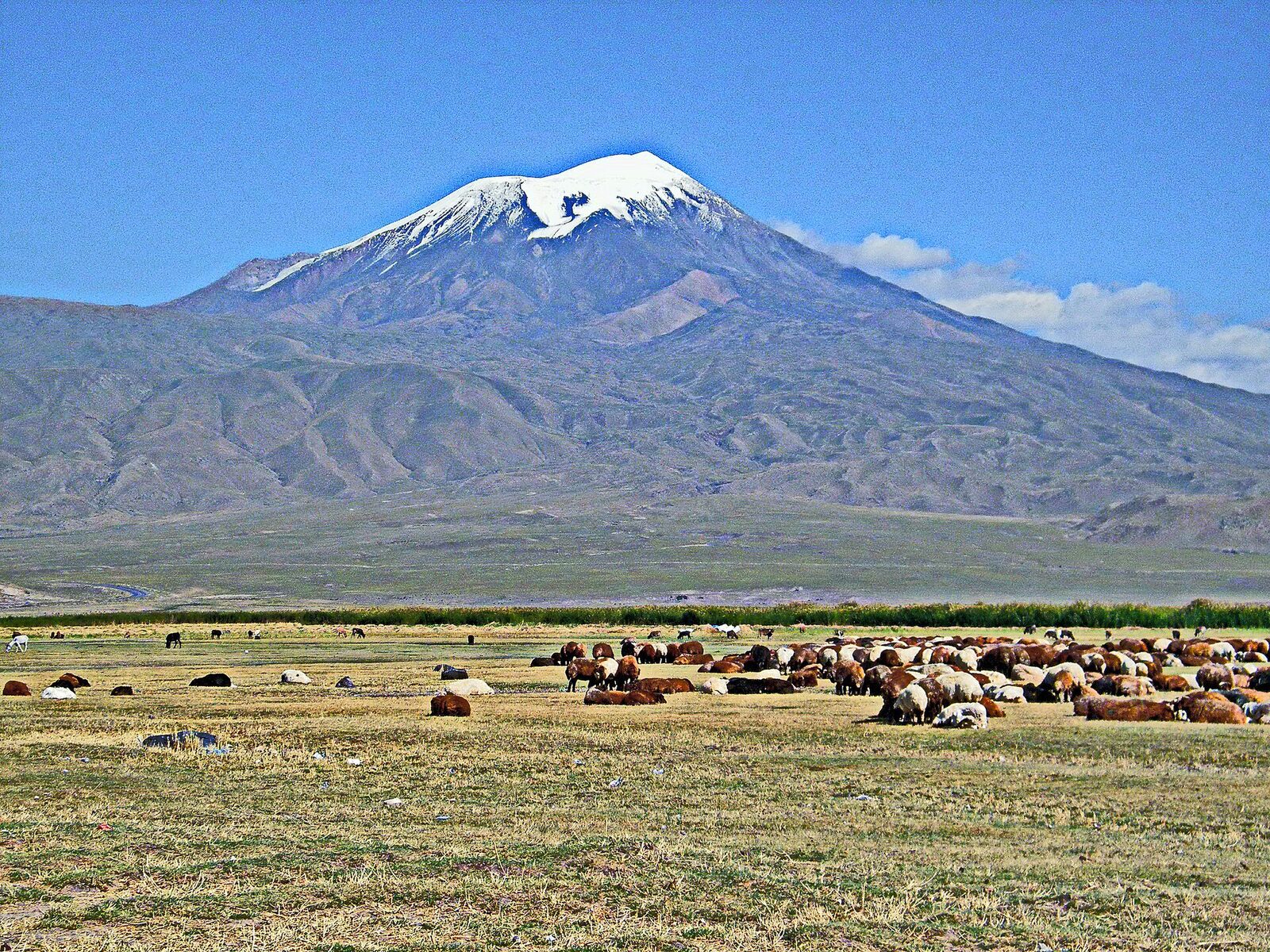 Karabulak köyü ve Ağrı Dağı