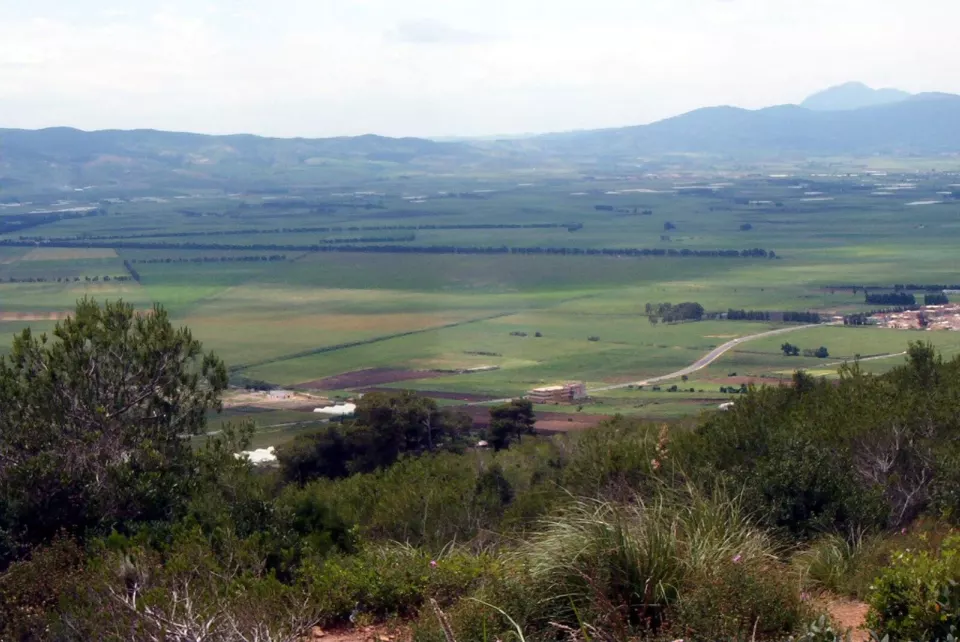Mitica ovası