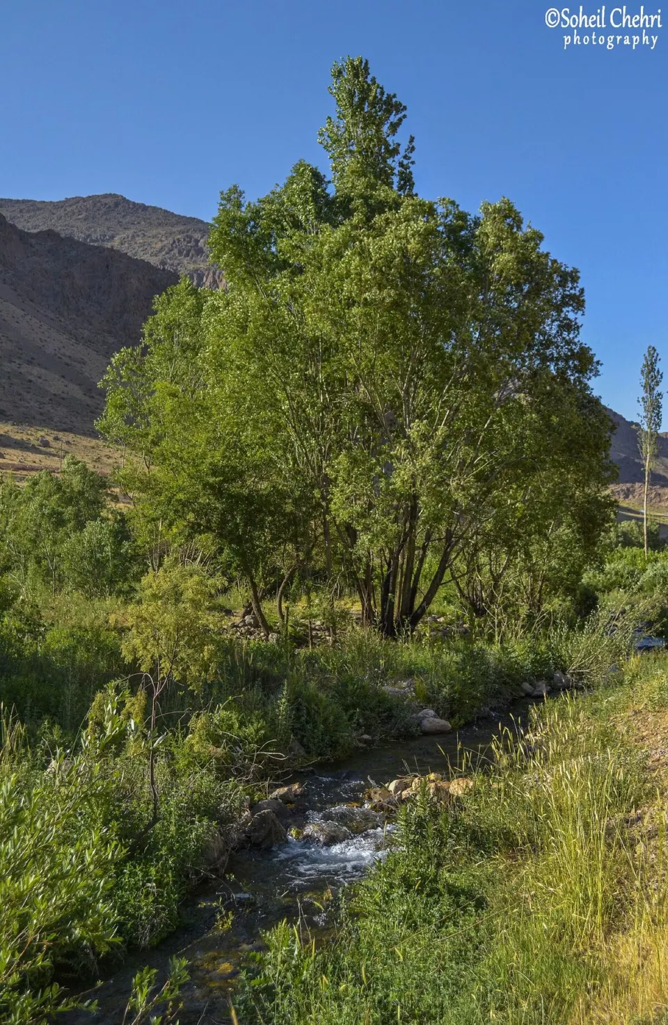 Kangarşah'ta Sirijan kaynağı