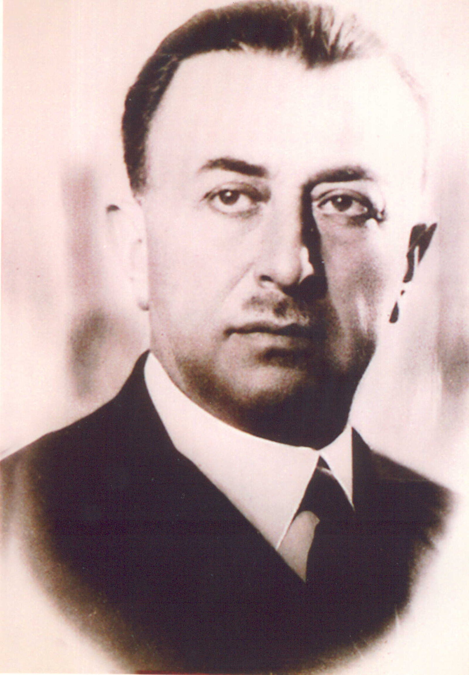 Şükrü Kaya portresi